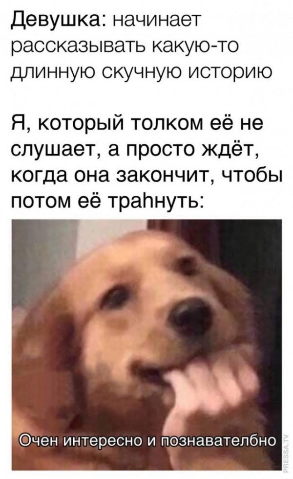 Картинки и мемы, всем прекрасных выходных