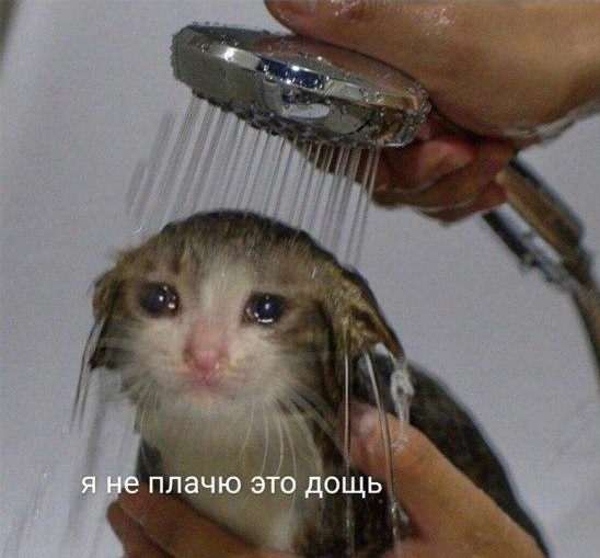 С гнильцой человек-то попался