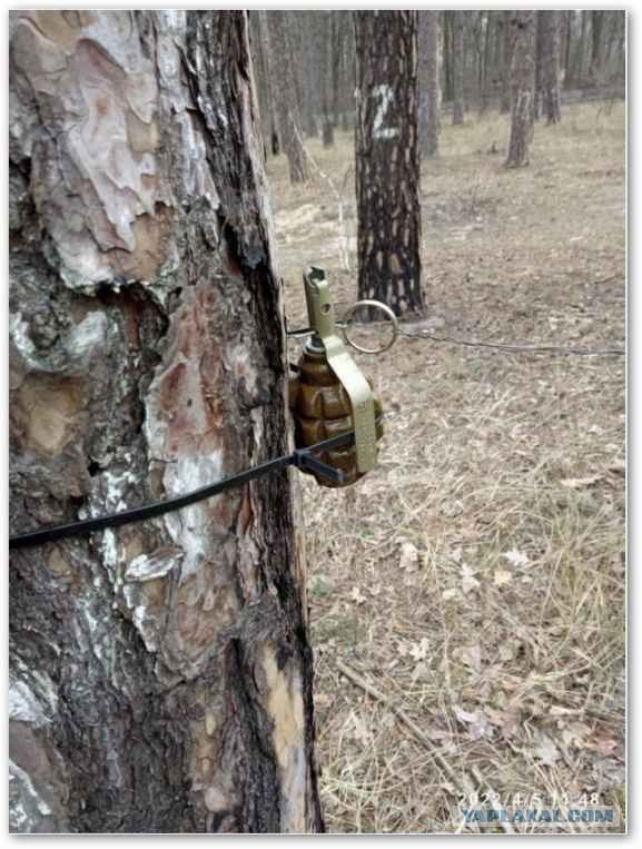Куда они стреляют?