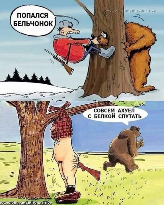 Заяц
