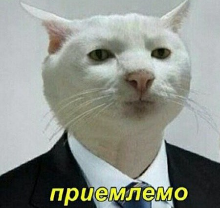 Так себе картинки 14.08.22