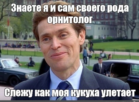 Так себе картинки 26.10.22