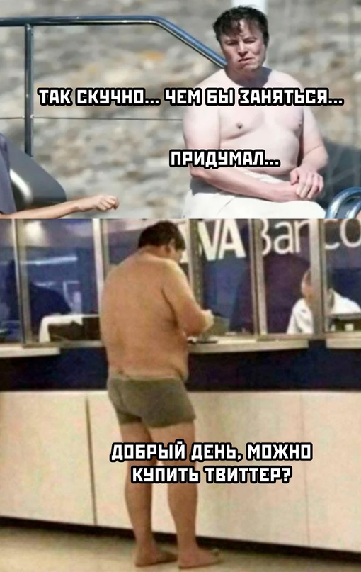 Весёлый полтишок 24.11.22