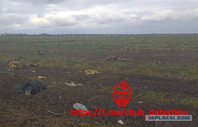 Пропавшими без вести солдатами ВСУ числятся более 35 тысяч человек