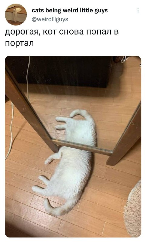 Картинки и мемы. Выходные близко...