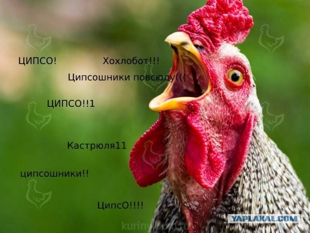 Главное не перепутать