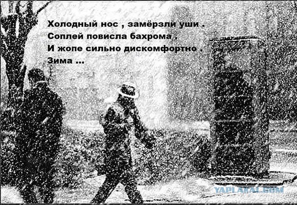 В Петербурге ввели курортный сбор