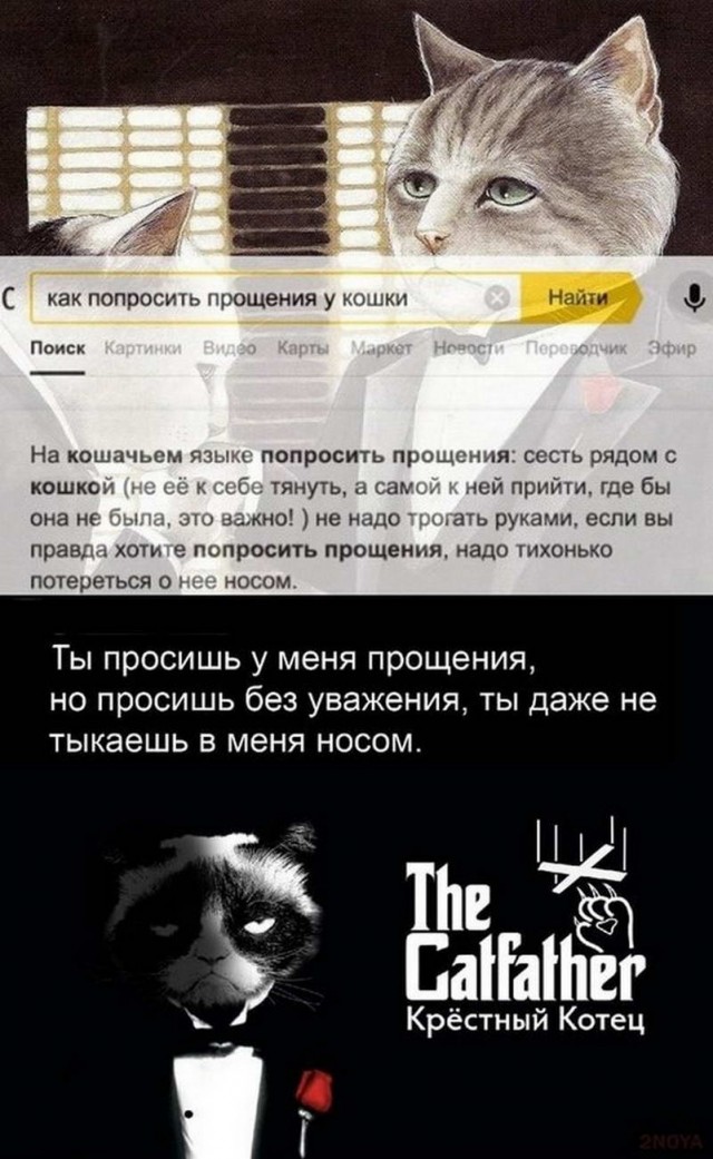 Немного картинок для настроения - 151