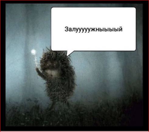Победная поступь идиотизма по планете – том 15