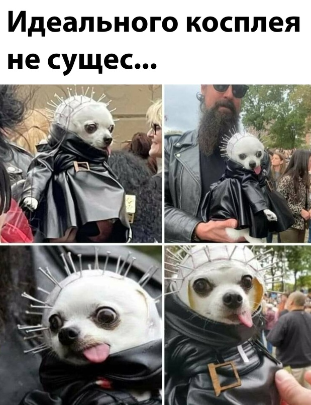 Скупка краденого из сети 15-06-2023