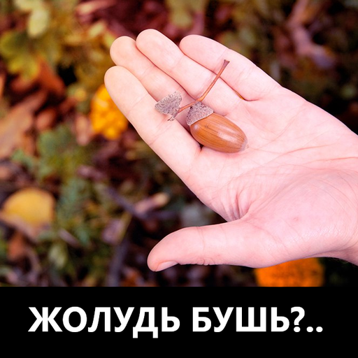 Гестаповец Миша Букин цеплялся за свою никчемную жизнь до последнего.