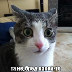 «Увы, Владимир. Ты сам в этом виноват», — сказала Клинтон