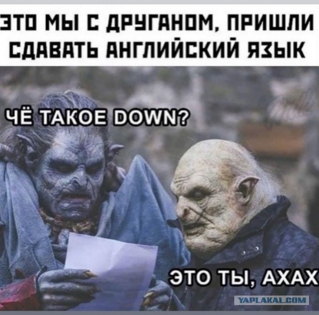 Приколы с налетом деградации