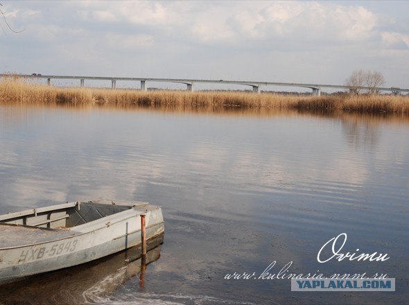Как рыбаки на Днепре раков варили...