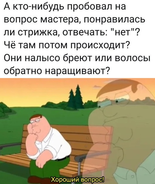 Весёлый полтишок 15.04.24