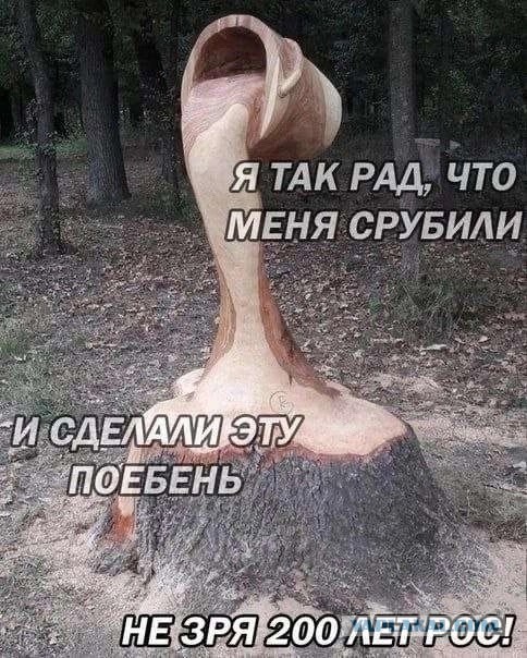 Деревянных дел мастер