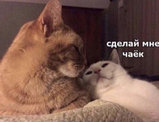 Между нами тает лёд