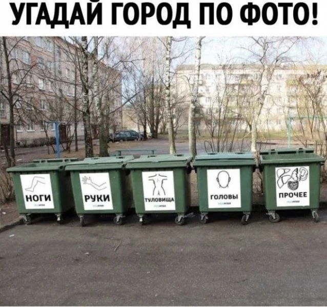 В канаве под Петербургом найдена сумка с останками человека