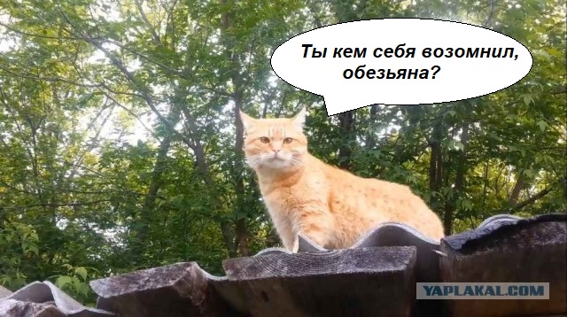 Игра
