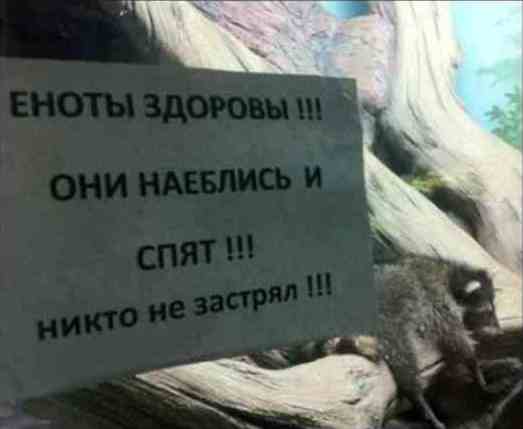 Большая подборка баянов разной степени свежести
