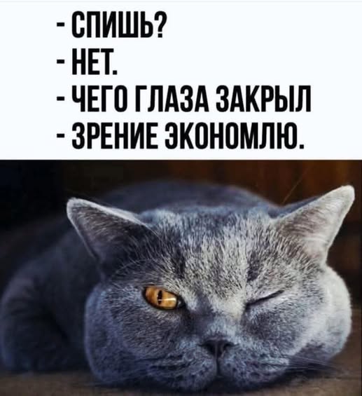 20469682.jpg