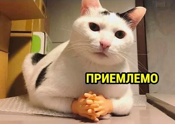 Бюджетный Интерстеллар