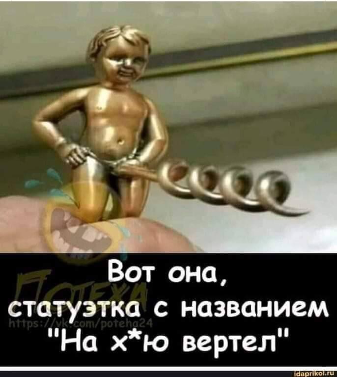 20575682.jpg