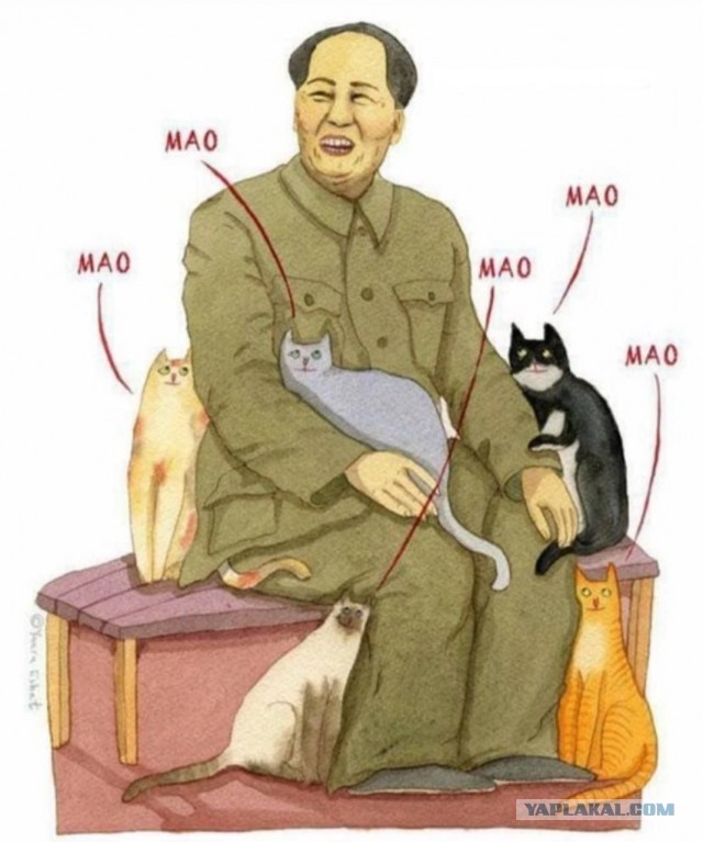 Веселые картинки _)