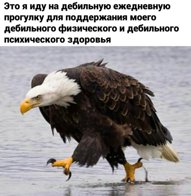 Картинки для деградации 126 (разной степени свежести)