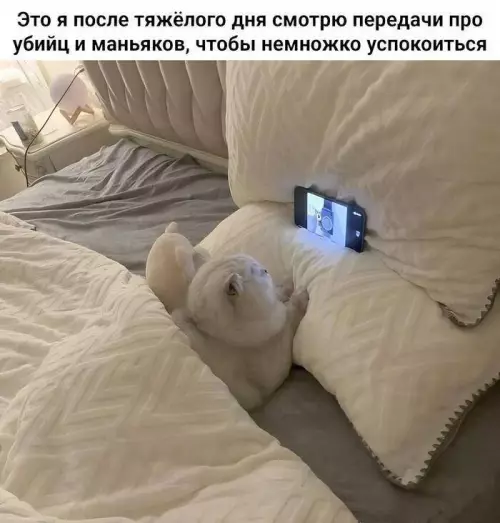 Картиночки, баянчики 21 февраля