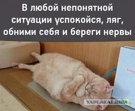 Что вы сделали? А, поспать придвинули. Спасибо