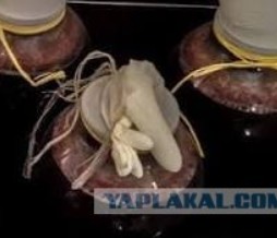 Сегодня в гаражах Сестрорецка что-то бумкнуло