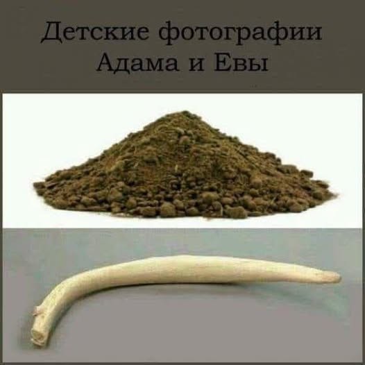 Забавные картинки, шутки из этих ваших интернетов