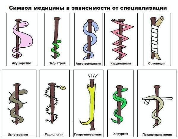 Так себе картинки 28.08.26