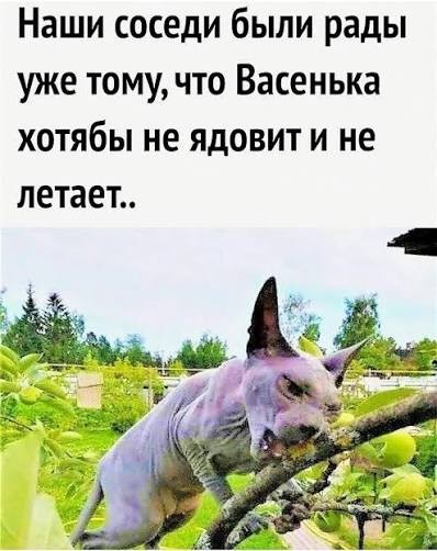 Очаровательная Горгулья