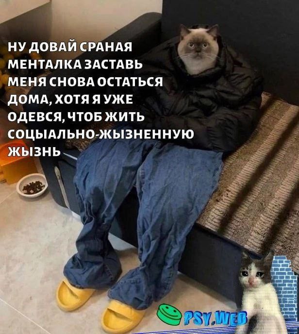 Психомемы-19