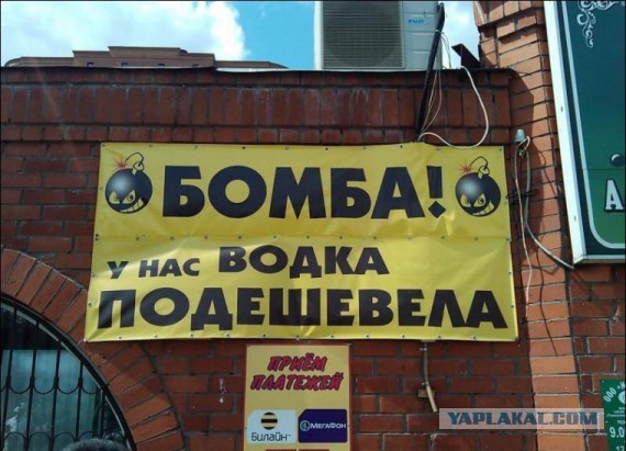 Маразмы года 2013