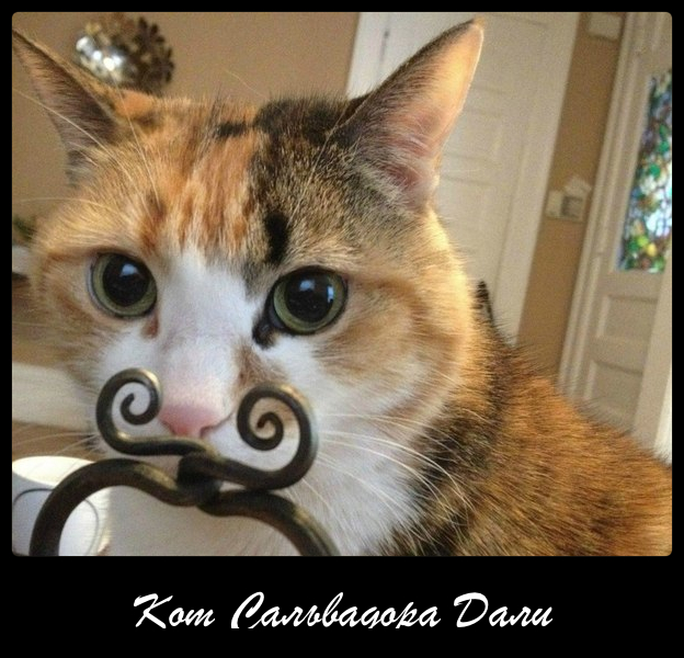 Коты ученых