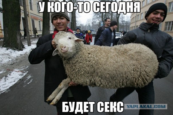 Очередная подборка смешных высказываний
