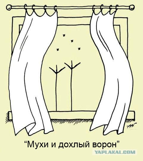 Натюрморт