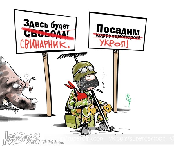 Подборка карикатур