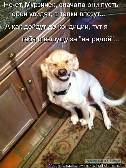 И кто это сделал?
