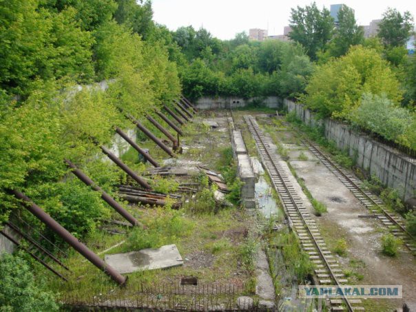 21 фотография, где природа победила цивилизацию