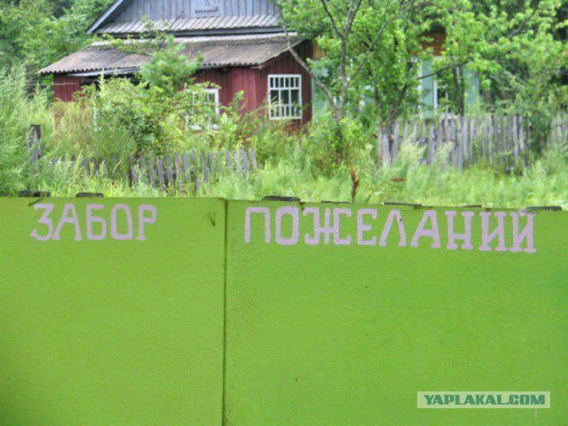 Весёлое из сети