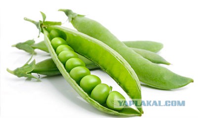 Минские переговоры нормандской четверки
