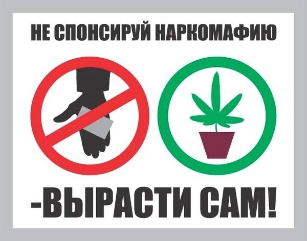 Алко-Нарко-Психо-Фармо и т.п. поборка