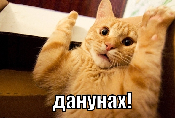 Гифки жесть