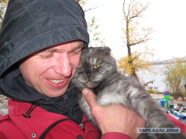 Котовторник 31.03.2015