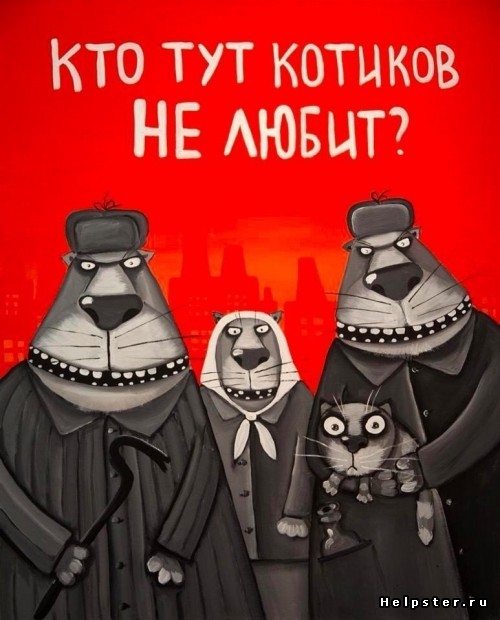 Котю огорчили! За ЧТОООО?