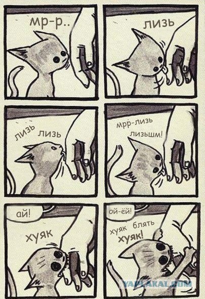 Улыбнёмся?:)